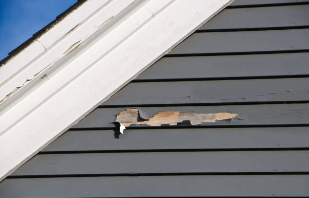 Affordable siding repair and maintenance services in Fair Oaks, GA